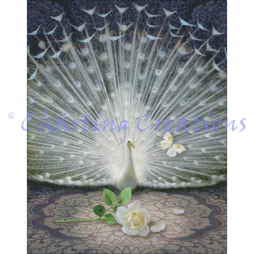 Release - White Peacock